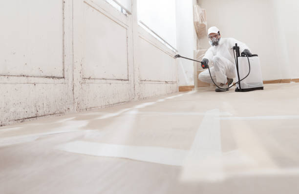24/7 Emergency Commercial Mold Remediation experts in Schellsburg, PA